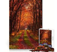 Camino en el Bosque otoñal en un Entorno cálido para adultosRompecabezas de 1000 piezasEstimula la menteUn pasatiempo acogedorUn Regalo Original y práctico (38x52cm)