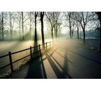 Camino Forestal - Juego de Rompecabezas de 3000 Piezas para Adultos relajación, meditación y Juegos educativos (Mayores de 14 años)