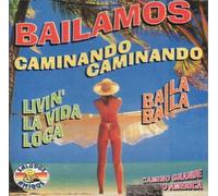 Camino Grande - Bailamos Y Caminando Caminan