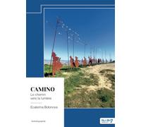 Camino: Le chemin vers la lumière