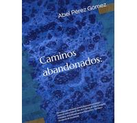 Caminos abandonados:: Formación de identidad pentecostal como estrategia pastoral contra la deserción en la Iglesia de Dios Evangelio Completo, ... Ostuncalco, Territorio Occidente de Guatemala