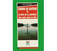 Caminos de santidad VI: El reto en la santidad: debo, puedo, quiero ser santo: 74 (Vida y Misión)
