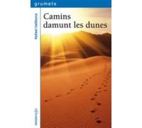 Camins Damunt Les Dunes