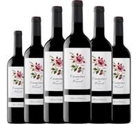Camins del Priorat es un vino tinto con crianza que combina Syrah, Garnacha, Merlot y otras variedades en una expresión compleja y equilibrada del Priorat.| 6 botellas