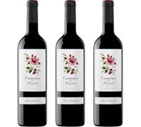 Camins del Priorat es un vino tinto con crianza que combina Syrah, Garnacha, Merlot y otras variedades en una expresión compleja y equilibrada del Priorat.| 3 botellas