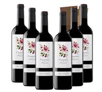 Camins del Priorat - Ideal para Maridar con Carne y Comida Mediterránea - Pack 6 Botellas 75cl