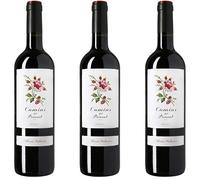 Camins del Priorat Vino tinto - 3 botellas x 750ml - total: 2250 ml