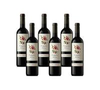 Camins Del Priorat - Vino Tinto - 6 Botellas