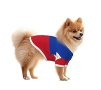 Camisa de malla para perro con la bandera de Filipinas, ligera y transpirable, de secado rápido, elástica, chaleco para perros pequeños