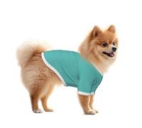 Camisa de malla transpirable para perros pequeños, bonita ropa para gatos, color azul turquesa