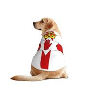 Camisa de perro con la bandera de Irlanda del Norte para perros grandes y medianos, camiseta de malla transpirable para mascotas, perfecta para el uso diario y ocasiones especiales
