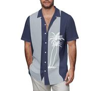 Camisa hawaiana para hombre, de verano, guayabera cubana, camisetas de algodón y lino, camisas de manga corta, camisetas tropicales, Z01-azul, 4XL