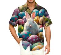 Camisa Negra De Vestir Manga Corta Baratas Franela Compresión Termica Sweater Leopardo Natación Abierto Verticales Modernos Franelas Calzado Azules Coreano Crema Violeta Chanclas Floreados Nino