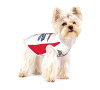 Camisa para perro con estampado de la bandera del estado de Iowa, chaleco para razas pequeñas como chihuahuas, yorkies y cachorros