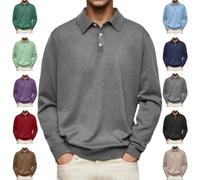 Camisa Polo de Manga Larga con Solapa de Color Liso, Cómoda e Informal para Hombre (4X-Large,Gray)