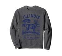 Camisa retro State Illinois Est 1818 Chicago 66 Skyline Route Sudadera