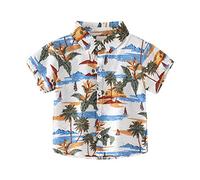 Camisas hawaianas para niños pequeños y grandes, mangas cortas, camisetas tropicales para niños pequeños de 2 a 8 años, camisetas divertidas para niños, Blanco, 5-6 Años