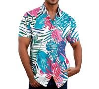 Camisas para hombre 2026 para hombre, casuales y deportivas, holgadas, para uso diario, perfectas para el verano, ideales con jeans, pantalones cargo, cómodas, elegantes, de fácil cuidado, verano