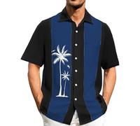 Camisas para hombre, manga corta, a rayas, holgadas, hawaianas, con botones, para negocios, oficina, trabajo, flores, Z02-azul, 4XL