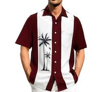 Camisas para hombre, manga corta, a rayas, holgadas, hawaianas, con botones, para negocios, oficina, trabajo, flores, Z02-blanco, 4XL