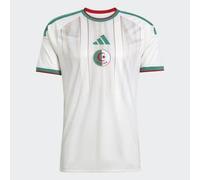 Camiseta 1ª equipación Argelia 2026 Adulto M
