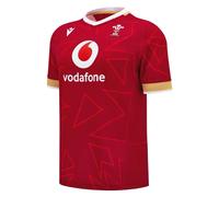 Camiseta 1ª Equipación Pays de Galles 2024/25 M