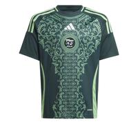 Camiseta 2ª Equipación infantil Argelia 2025 11/12