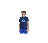 Adidas Unisex niños Essentials Big Logo T-Shirt, Dark Blue/Pure Teal/halo Mint, 7-8 Years