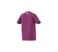 Camiseta adidas c colleg infantil fucsem 15 - 16 AÑOS