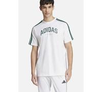 CAMISETA ADIDAS COLLEG HOMBRE M