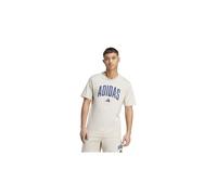 Camiseta adidas collegiate hombre gris L