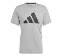 Camiseta de Fitness adidas Essentials Tr-Es Fr Logo Hombre Mgreyh XL