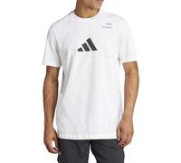 Camiseta Adidas Graphic Is2408