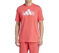 Camiseta Adidas Graphic Jd8255
