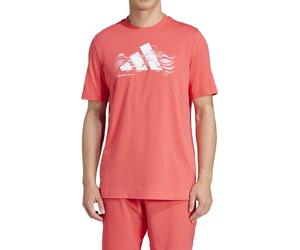 Camiseta Adidas Graphic Jd8255