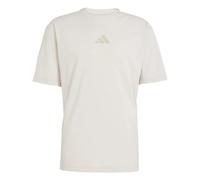 Camiseta adidas Terrex Xploric Climacool+ L Male