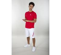 Camiseta Alpha Industries Backprint S