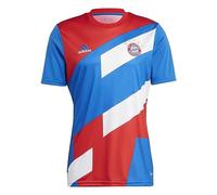 Camiseta Antes del Partido Bayern Munich 2022/23