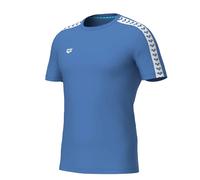 Camiseta Arena Team L Male