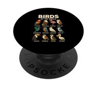 Camiseta Aves del Mundo Diseño de Especies de Pájaros PopSockets PopGrip Adhesivo