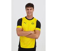 Puma - Camiseta BVB Borussia Training 2025-2026, Unisex, Faster Yellow-Black, M