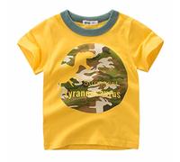 Camiseta Basica Niño Manga Corta Baggy T Shirt - Camisetas años, de Dinosaurio para niños, Ropa Manga niños pequeños, Cuello Redondo 1 a 7 años