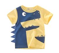 Camiseta Basica Niño Manga Corta Baggy T Shirt - Camisetas de Cuello Redondo Manga Corta con Dinosaurio Animados para niños pequeños y bebés, Camisetas, Ropa