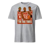 Camiseta Basket | Baloncesto | Jordania | Tee The Big Three in History, Gris (Sport Grey), Medium