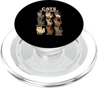 Camiseta Cats of The World Razas de Gatos Diseño Bonito PopSockets PopGrip para MagSafe