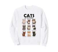 Camiseta Cats of The World Razas de Gatos Diseño Bonito Sudadera