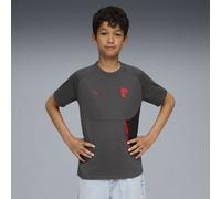 Camiseta con bolsillo AC Milan PUMATECH juvenil, Ropa, Gris, 11-12Y