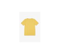 Camiseta converse cnvb dissected chuck patch ss niño amarillo 12 - 13 AÑOS