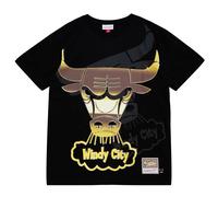Camiseta de cuello redondo Chicago Bulls S