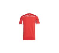 Camiseta Local Bayern Múnich 2025/26 L